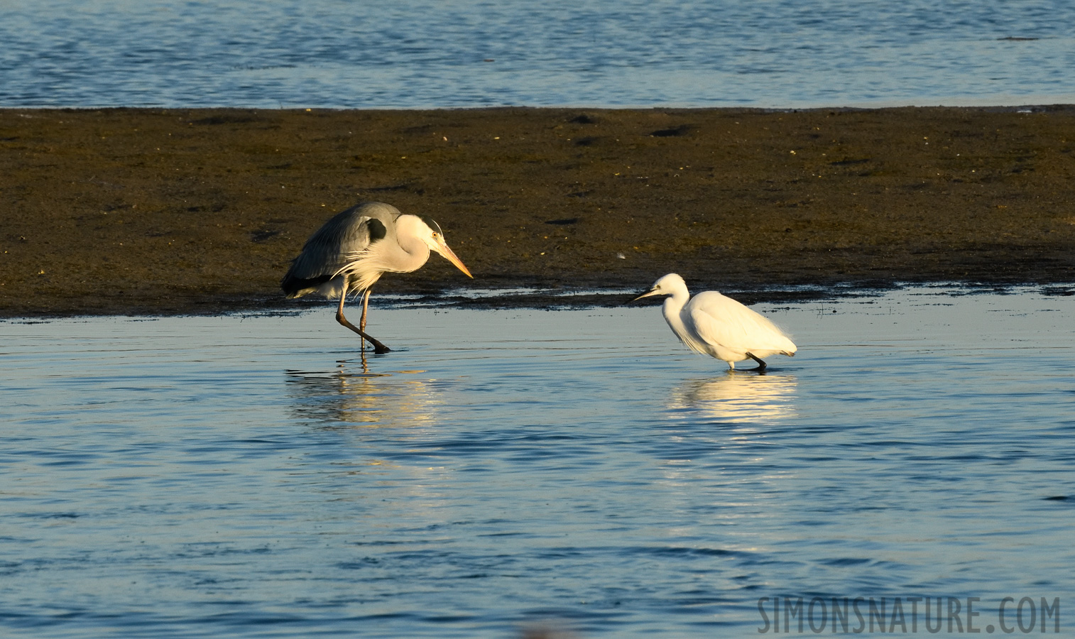 [400 mm, 1/500 sec at f / 18, ISO 1600]